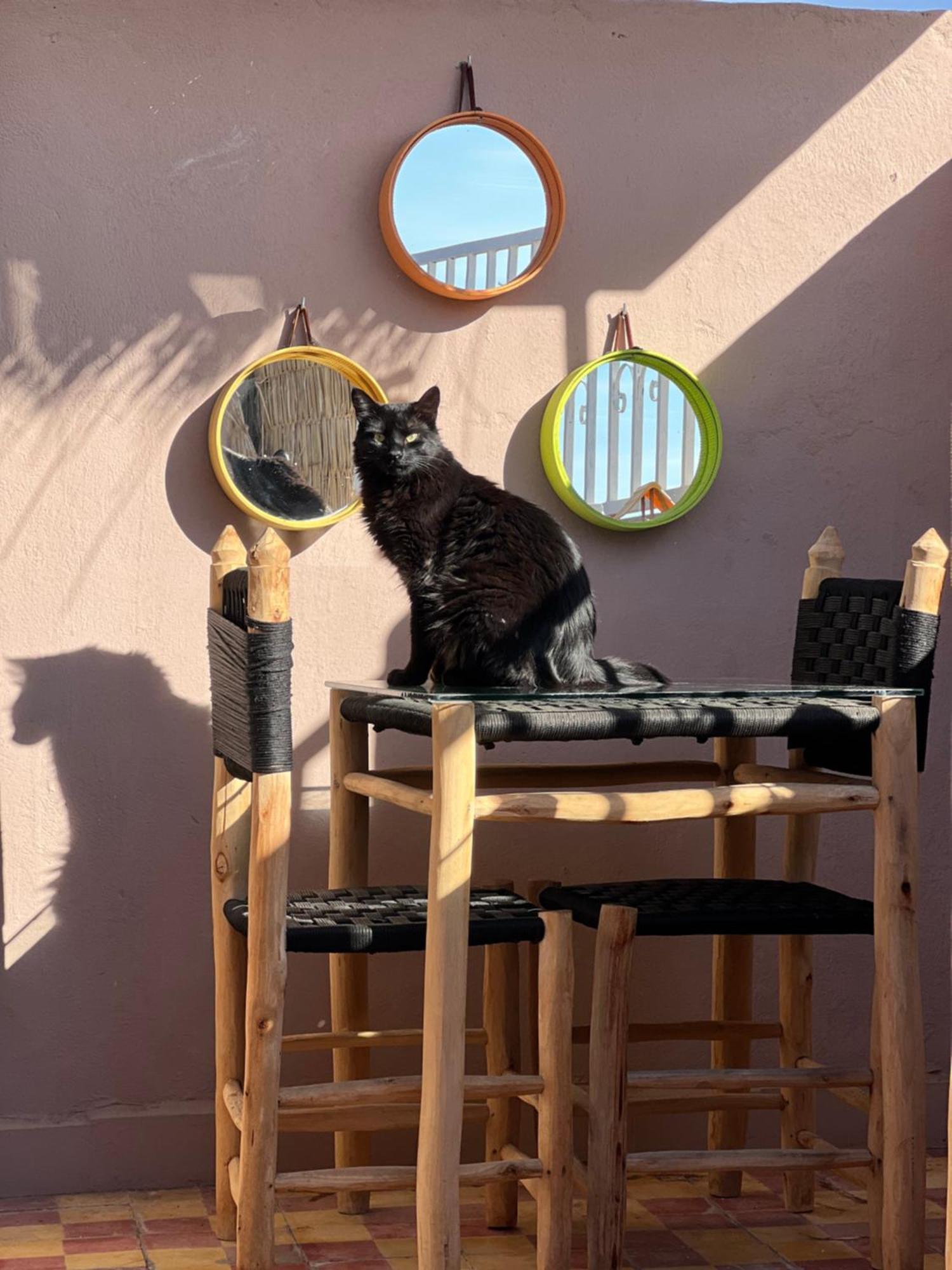 Peekaboo Hostel Marrakesh Luaran gambar